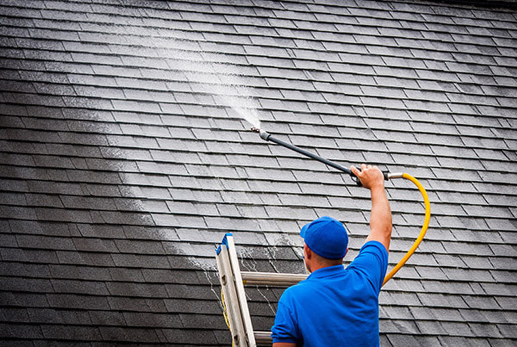 Roof Cleaning 